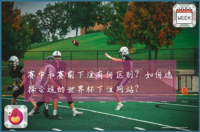 赛中和赛前下注有何区别？如何选择合适的世界杯下注网站？