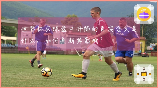 世界杯买球盘口升降的真实含义是什么，如何判断其影响？