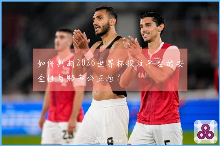 如何判断2026世界杯投注平台的安全性与赔率公正性？