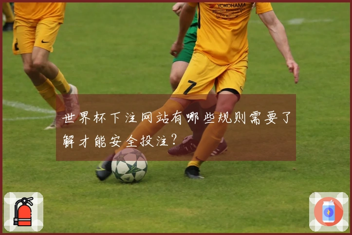 世界杯下注网站有哪些规则需要了解才能安全投注？