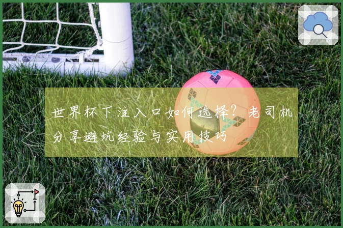 世界杯下注入口如何选择？老司机分享避坑经验与实用技巧