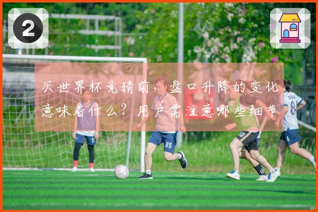 买世界杯竞猜前，盘口升降的变化意味着什么？用户需注意哪些细节？