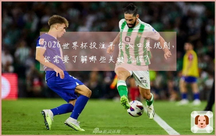 2026世界杯投注平台入口及规则，你需要了解哪些关键流程？