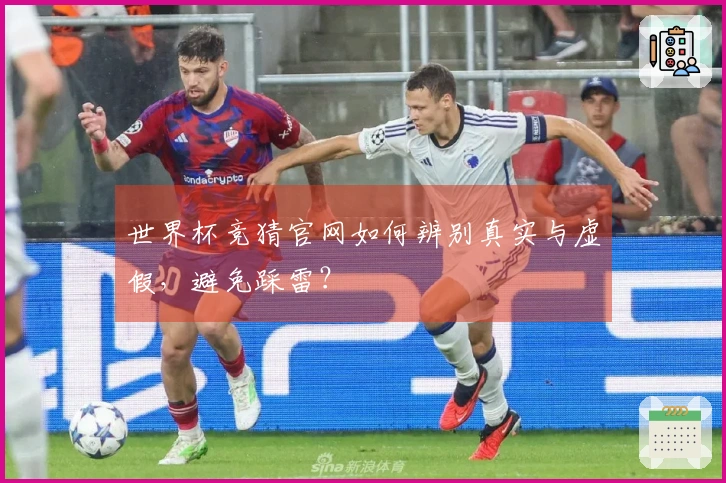 世界杯竞猜官网如何辨别真实与虚假，避免踩雷？