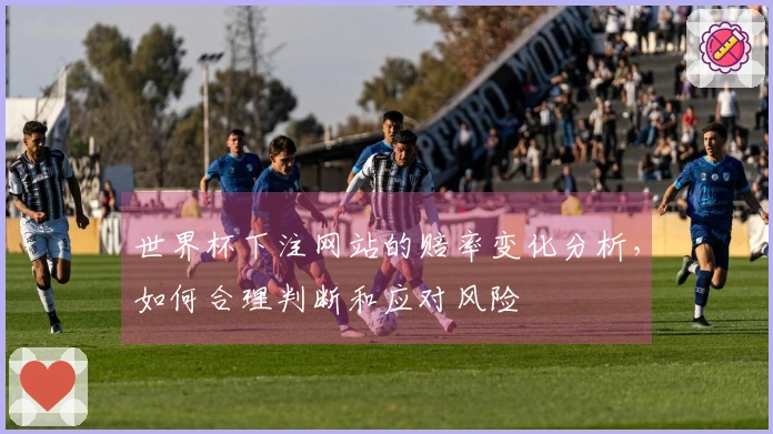 世界杯下注网站的赔率变化分析，如何合理判断和应对风险