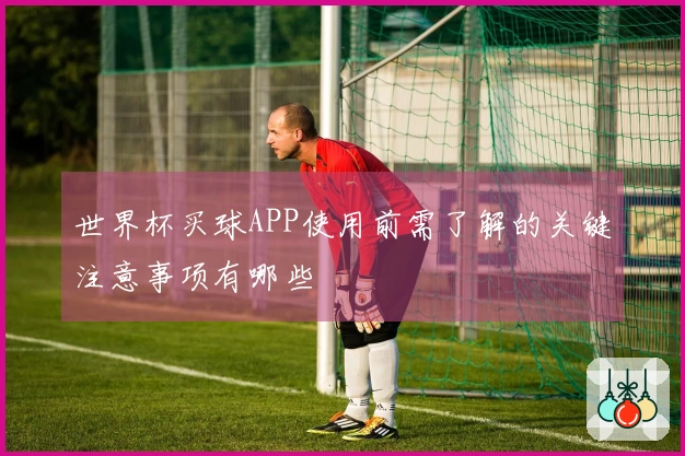 世界杯买球APP使用前需了解的关键注意事项有哪些