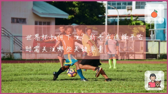 世界杯如何下注？新手在选择平台时需关注哪些关键要素