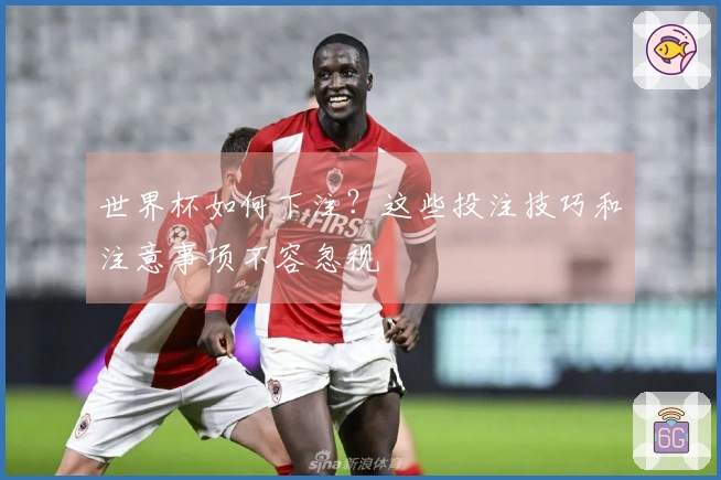 世界杯如何下注？这些投注技巧和注意事项不容忽视