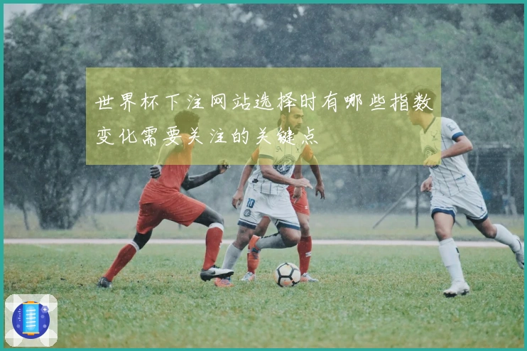 世界杯下注网站选择时有哪些指数变化需要关注的关键点