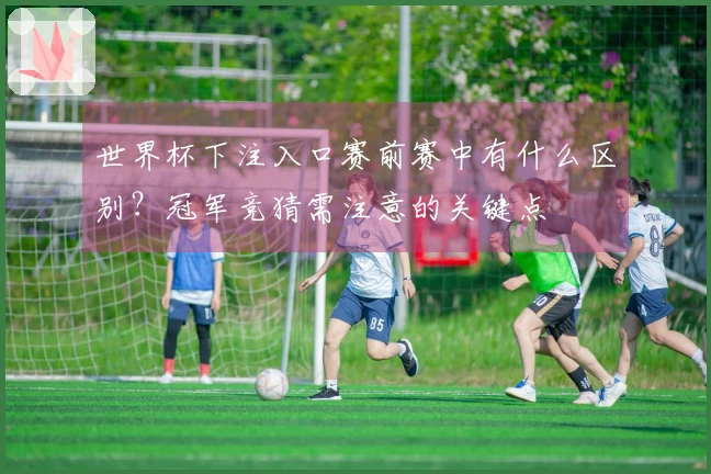 世界杯下注入口赛前赛中有什么区别？冠军竞猜需注意的关键点