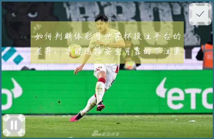 如何判断体彩与世界杯投注平台的差异，才能选择安全可靠的下注渠道？