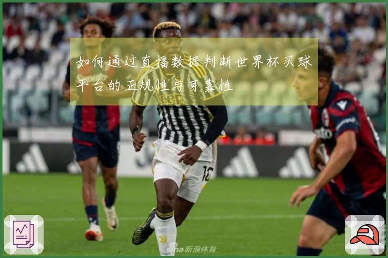如何通过直播数据判断世界杯买球平台的正规性与可靠性