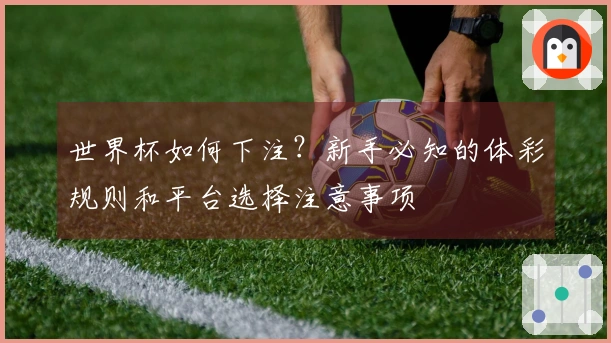世界杯如何下注？新手必知的体彩规则和平台选择注意事项