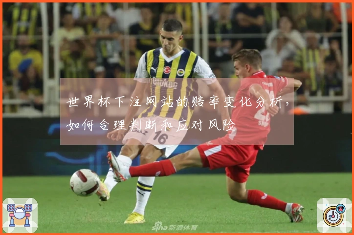 世界杯下注网站的赔率变化分析，如何合理判断和应对风险