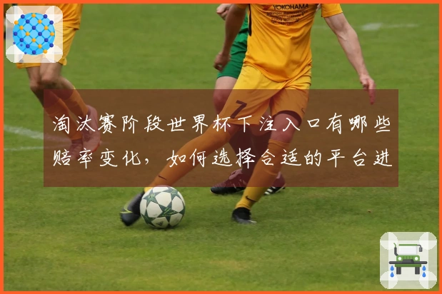 淘汰赛阶段世界杯下注入口有哪些赔率变化，如何选择合适的平台进行投注
