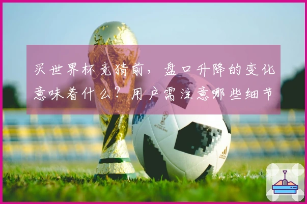 买世界杯竞猜前，盘口升降的变化意味着什么？用户需注意哪些细节？