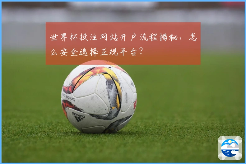 世界杯投注网站开户流程揭秘，怎么安全选择正规平台？