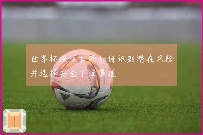 世界杯投注官网如何识别潜在风险并选择安全下注渠道