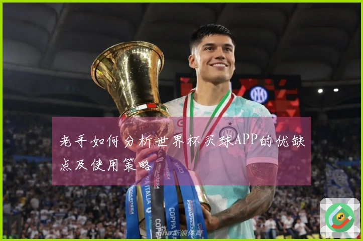 老手如何分析世界杯买球APP的优缺点及使用策略