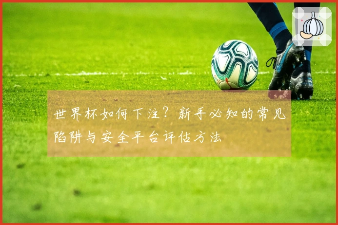 世界杯如何下注？新手必知的常见陷阱与安全平台评估方法