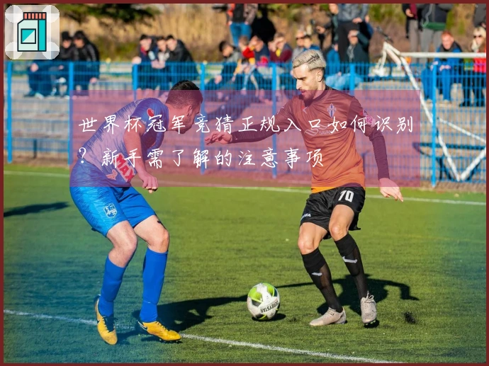 世界杯冠军竞猜正规入口如何识别？新手需了解的注意事项