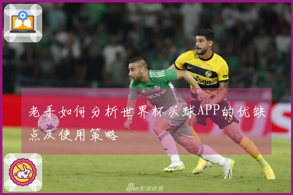 老手如何分析世界杯买球APP的优缺点及使用策略