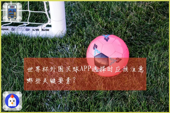 世界杯外围买球APP选择时应该注意哪些关键要素？