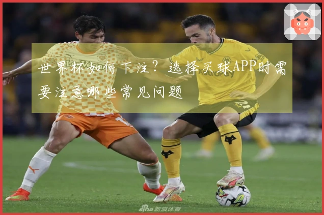世界杯如何下注？选择买球APP时需要注意哪些常见问题
