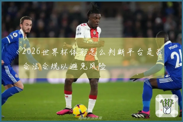 2026世界杯体彩怎么判断平台是否合法合规以避免风险