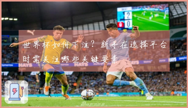 世界杯如何下注？新手在选择平台时需关注哪些关键要素