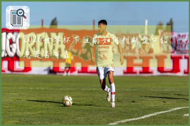 2026世界杯下注前如何判断盘口信息是否可靠