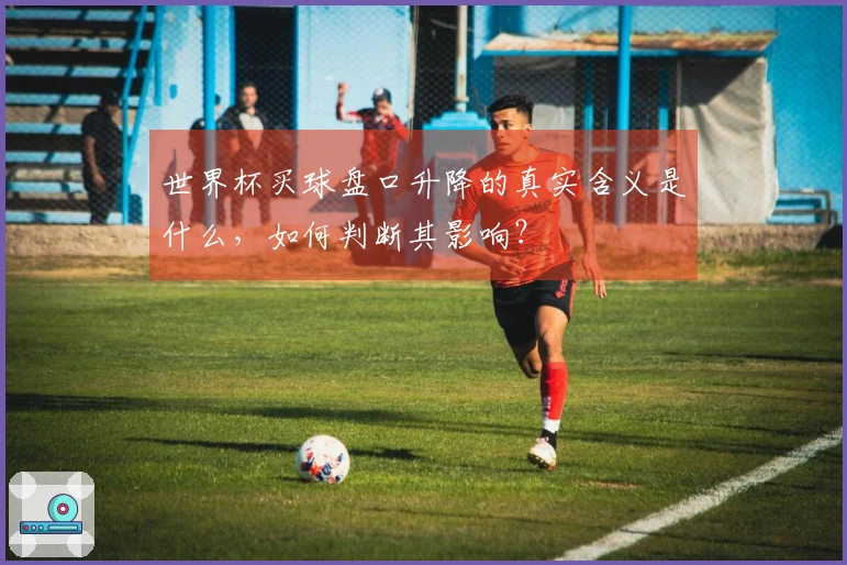 世界杯买球盘口升降的真实含义是什么，如何判断其影响？